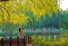国产麻豆剧传媒精品国产av蜜桃-国内精品麻豆剧，国产AV蜜桃背后的文化现象