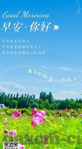 久久av麻豆-多样性与用户满意度的探讨