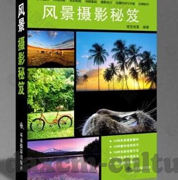 麻豆传媒狼人-麻豆传媒与狼人议题,社会文化的深度折射与反思